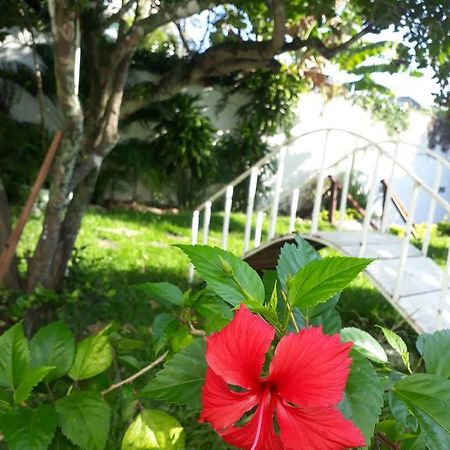 Secret Recreio Villa Rio de Janeiro Dış mekan fotoğraf
