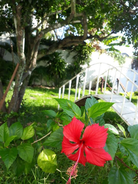 Secret Recreio Villa Rio de Janeiro Dış mekan fotoğraf